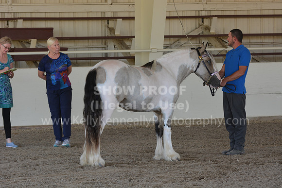 MLMH18_Day1_0638