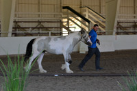 MLMH18_Day1_0642