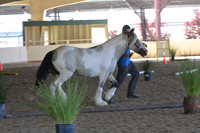 MLMH18_Day1_0643
