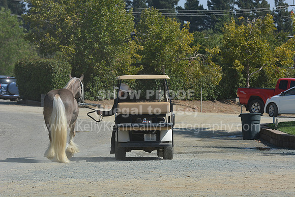 MLMH18_Day1_0645