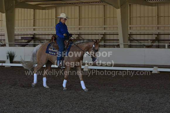 MLMH18_Day1_0452