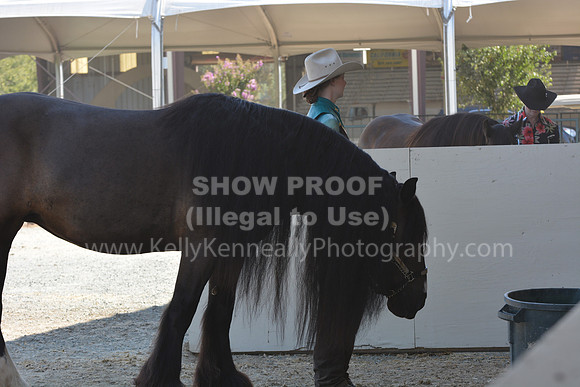 MLMH18_Day1_0646