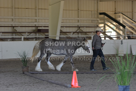 MLMH18_Day1_0647