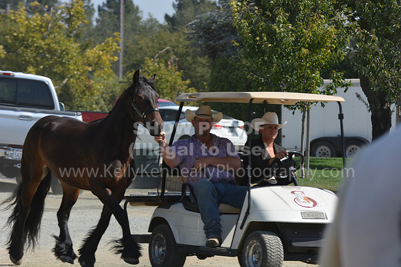 MLMH18_Day1_0651