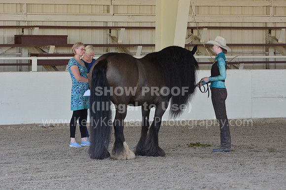 MLMH18_Day1_0652