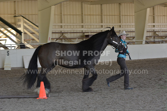 MLMH18_Day1_0656