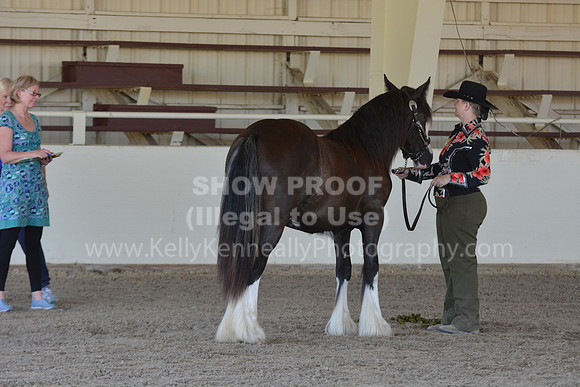 MLMH18_Day1_0658