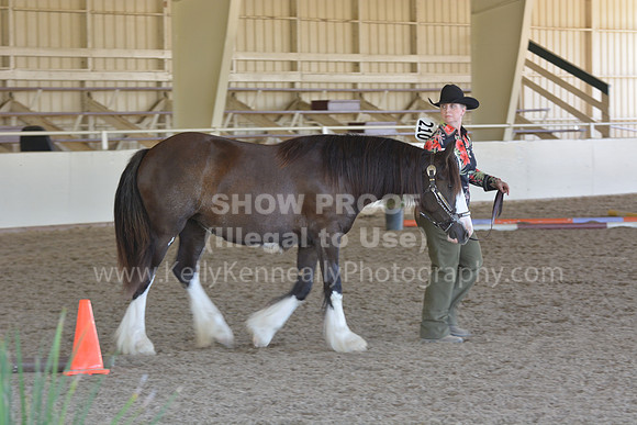 MLMH18_Day1_0659