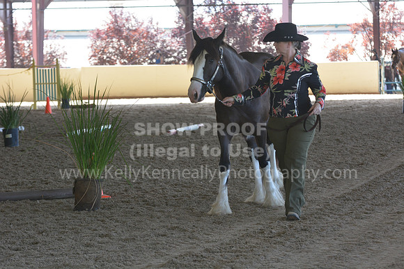 MLMH18_Day1_0660