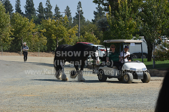 MLMH18_Day1_0662