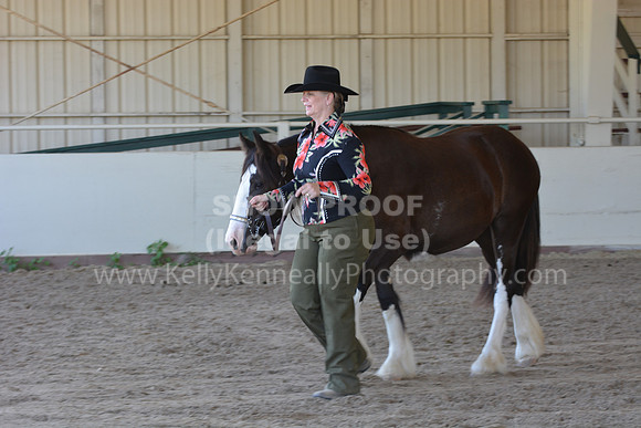 MLMH18_Day1_0663