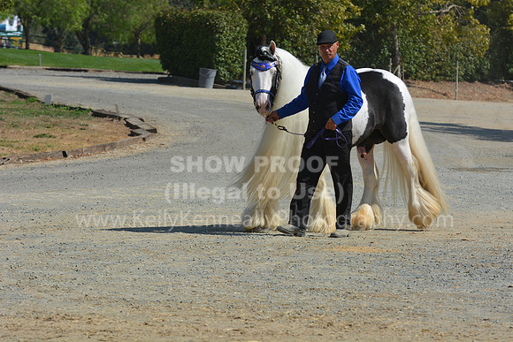 MLMH18_Day1_0664