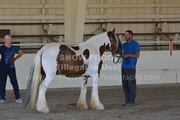 MLMH18_Day1_0665