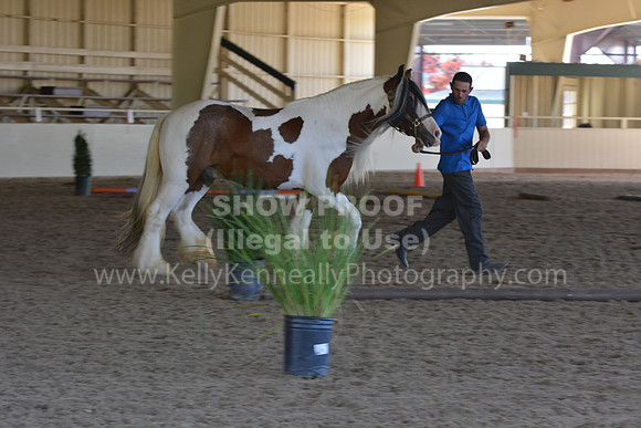 MLMH18_Day1_0667
