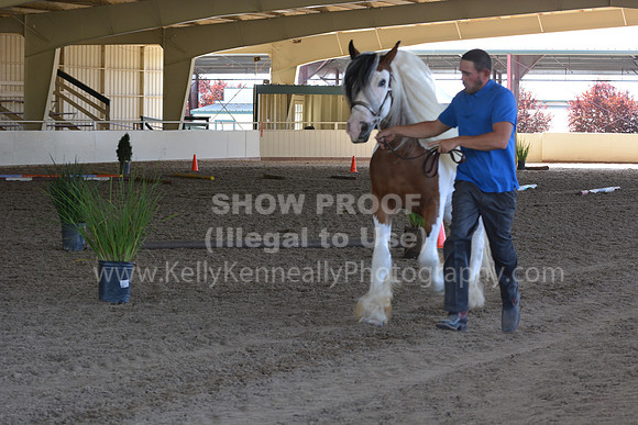 MLMH18_Day1_0668