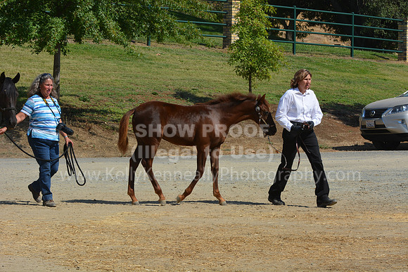MLMH18_Day1_0670