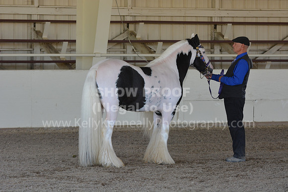 MLMH18_Day1_0672