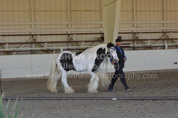 MLMH18_Day1_0673