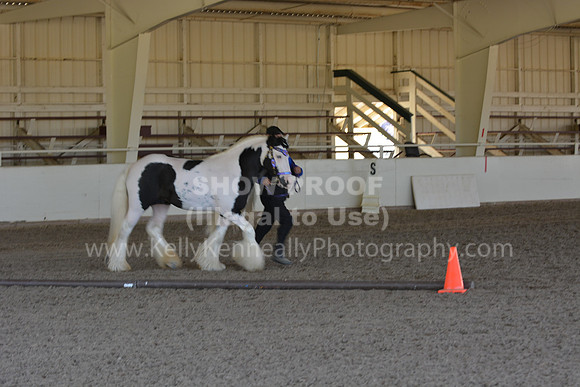 MLMH18_Day1_0676