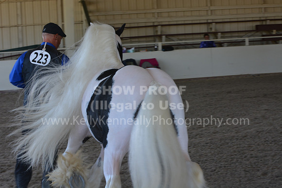 MLMH18_Day1_0680