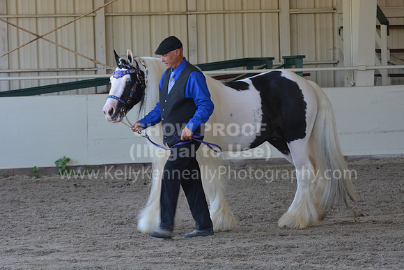 MLMH18_Day1_0682