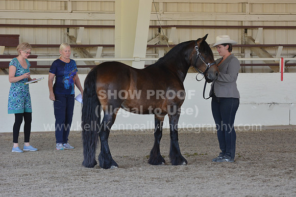 MLMH18_Day1_0685