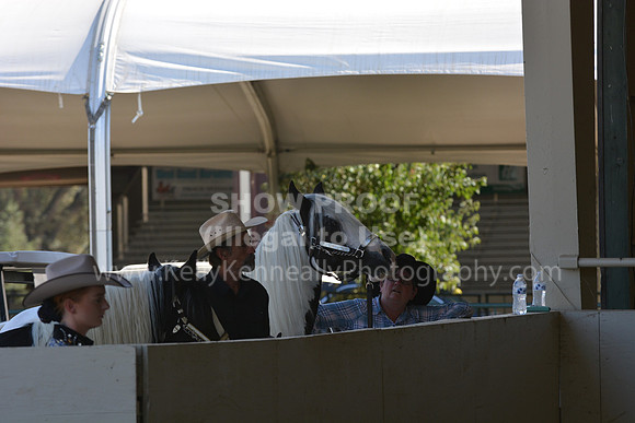 MLMH18_Day1_0686