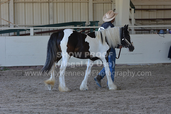 MLMH18_Day1_0689