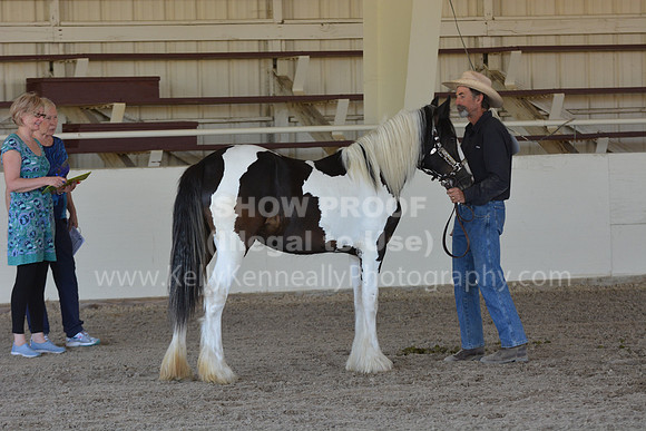 MLMH18_Day1_0690