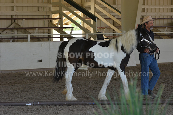 MLMH18_Day1_0691