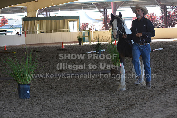 MLMH18_Day1_0694