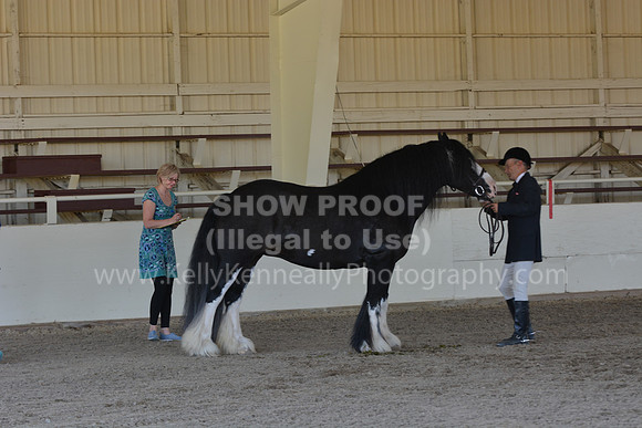 MLMH18_Day1_0696