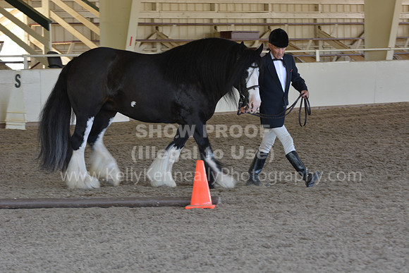 MLMH18_Day1_0697