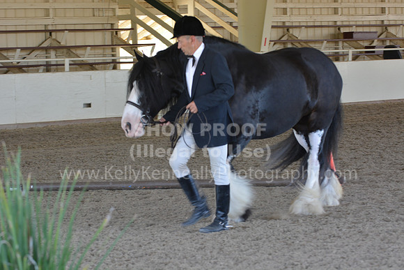 MLMH18_Day1_0698