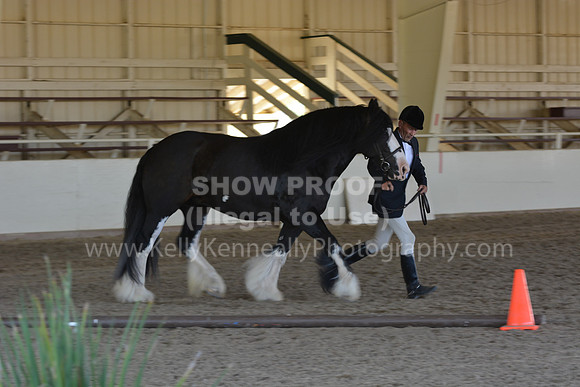 MLMH18_Day1_0699