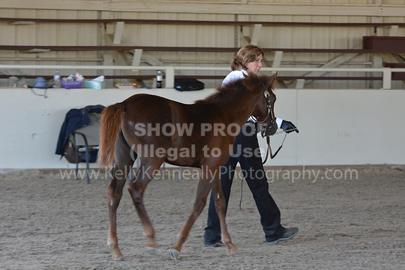 MLMH18_Day1_0706