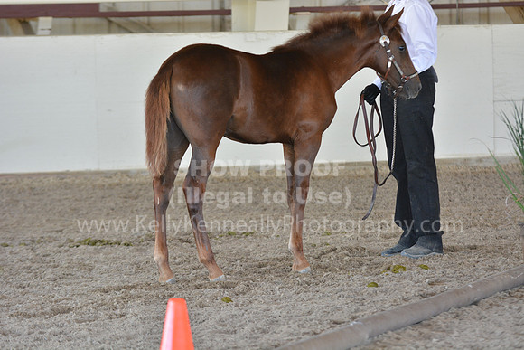 MLMH18_Day1_0708