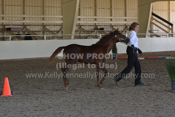 MLMH18_Day1_0710