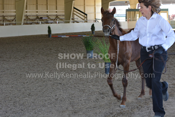 MLMH18_Day1_0712