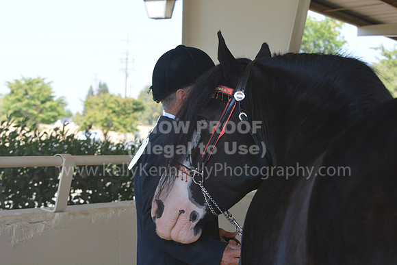 MLMH18_0713