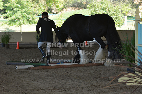 MLMH18_0718
