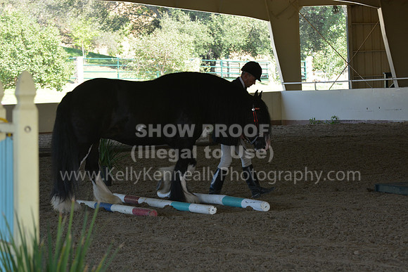 MLMH18_0719
