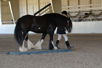 MLMH18_0720