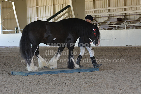MLMH18_0720