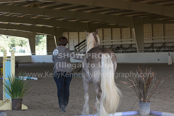 MLMH18_0723