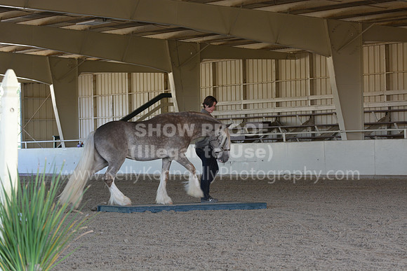 MLMH18_0725