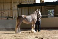 MLMH18_0727