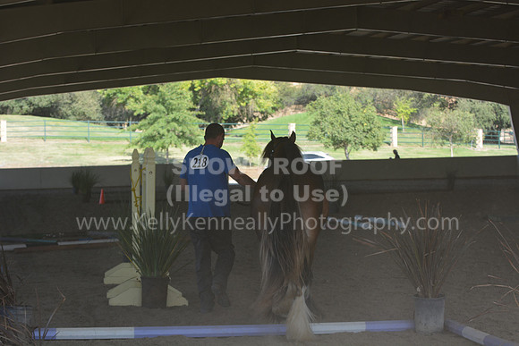 MLMH18_0728