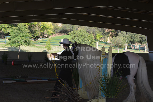 MLMH18_0731