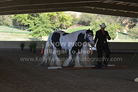 MLMH18_0733